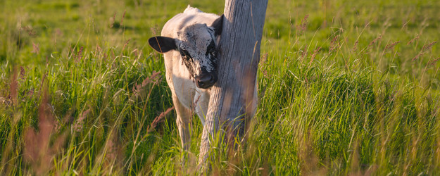 Similar image 21823430