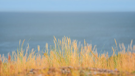 Similar image 21823431