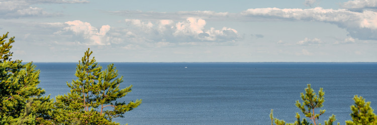 Similar image 21823432