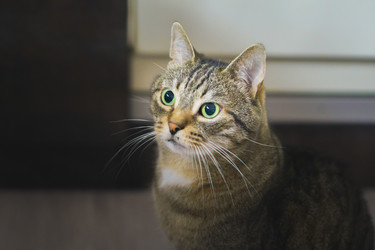 Similar image 21823433