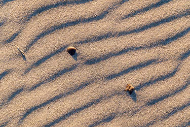 Similar image 21823434