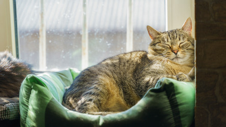 Similar image 21823670