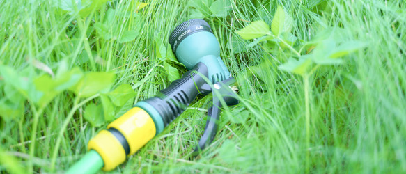 Similar image 21823674