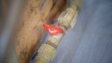 Similar image 21823681