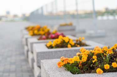 Similar image 21823684