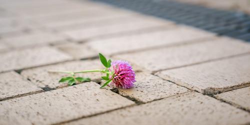 Similar image 21823686