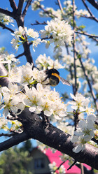 Similar image 21822892