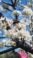 Similar image 21822893