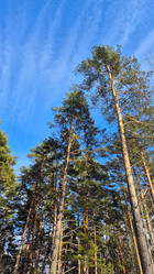 Similar image 21822894