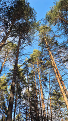 Similar image 21822895