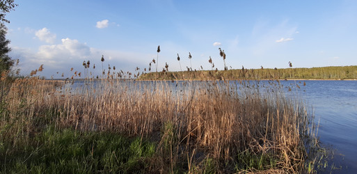 Similar image 21822898