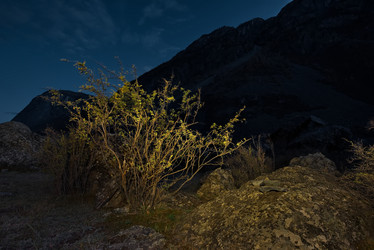 Similar image 21827076