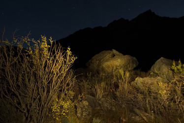 Similar image 21827078