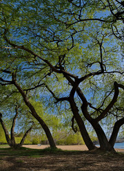 Similar image 21826373