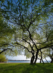 Similar image 21826374