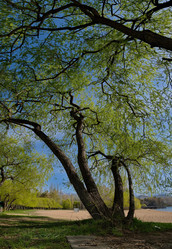 Similar image 21826375