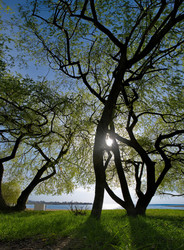 Similar image 21826376