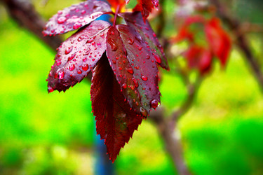 Similar image 21822764