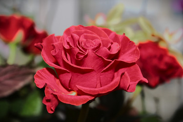 Similar image 21822901