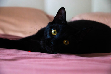 Similar image 21822902