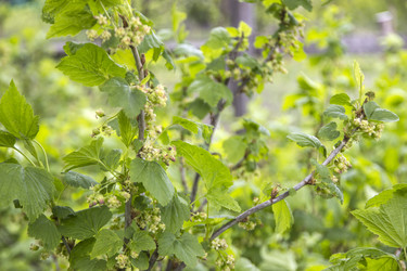 Similar image 21822903