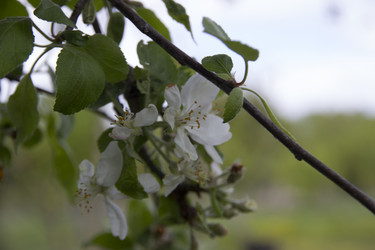 Similar image 21822904