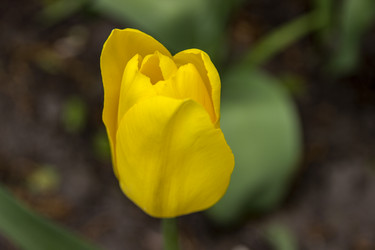 Similar image 21822906