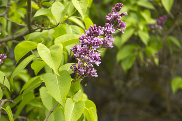 Similar image 21822907