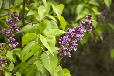 Similar image 21822908