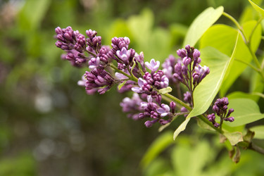 Similar image 21822909