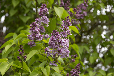 Similar image 21822910