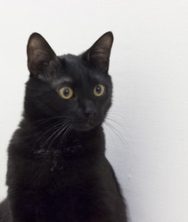 Similar image 21822912