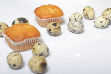 Similar image 21822939