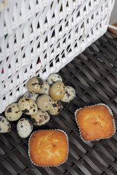 Similar image 21822949