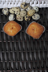 Similar image 21822951