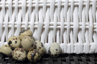 Similar image 21822954