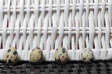 Similar image 21822956