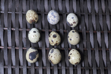 Similar image 21822960