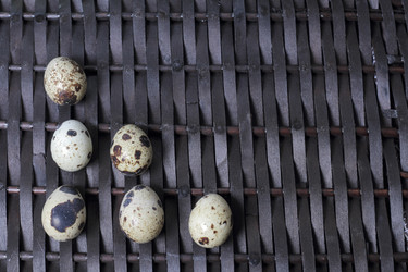 Similar image 21822961