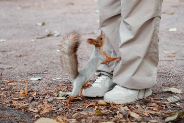 Similar image 21822967