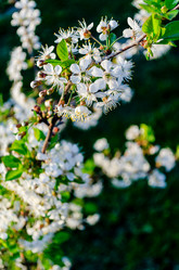 Similar image 21825717