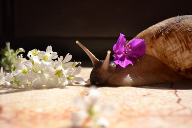 Similar image 21822971