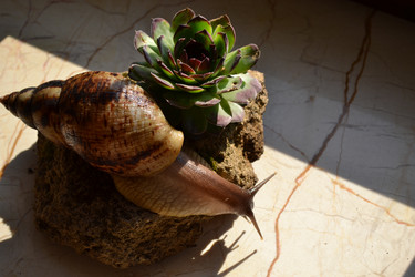 Similar image 21822972