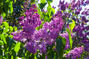 Similar image 21822989