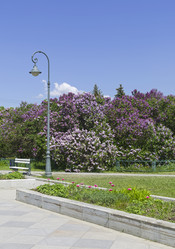 Similar image 21822991