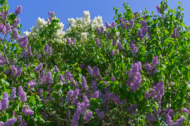 Similar image 21822992