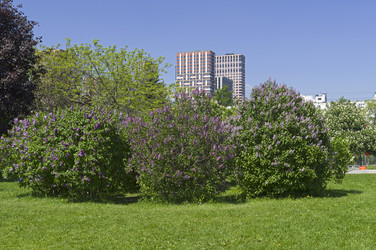 Similar image 21822993