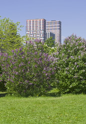 Similar image 21822994