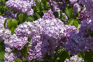 Similar image 21822995