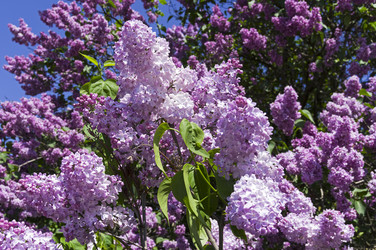 Similar image 21822996